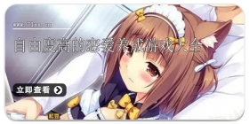 自由度高的恋爱养成游戏大全