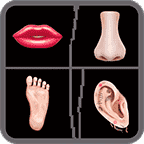 疯狂模拟器手游app 疯狂模拟器手游app