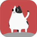 猫咪掉下来啦手游app 猫咪掉下来啦手游app