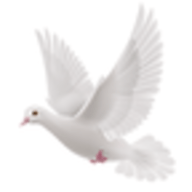 逍遥阁小说手机软件app 逍遥阁小说手机软件app