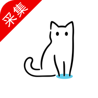 猫影视TV手机软件app