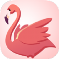 火烈鸟快讯手机软件app 火烈鸟快讯手机软件app