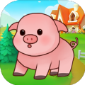 天天养金猪手游app 天天养金猪手游app