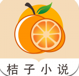 桔子免费小说手机软件app 桔子免费小说手机软件app
