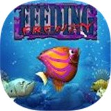 喂鱼狂潮手游app 喂鱼狂潮手游app