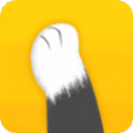 猫爪交友手机软件app 猫爪交友手机软件app