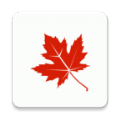 枫叶记账手机软件app 枫叶记账手机软件app