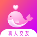 聊会手机软件app 聊会手机软件app