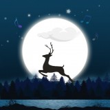 秀秀睡眠音乐手机软件app