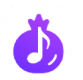 石榴音乐手机软件app