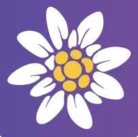 真汇品手机软件app 真汇品手机软件app