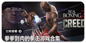 拳拳到肉的拳击游戏合集