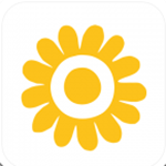 课瓜子手机软件app 课瓜子手机软件app