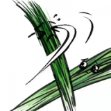 躺平笔记手机软件app 躺平笔记手机软件app