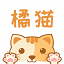 橘猫小说手机软件app 橘猫小说手机软件app