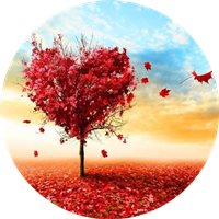 爱枫英语学习手机软件app 爱枫英语学习手机软件app