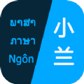 小兰翻译手机软件app 小兰翻译手机软件app