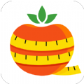 番茄闪轻手机软件app