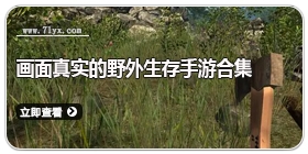 画面真实的野外生存手游合集