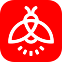 火萤视频壁纸手机软件app 火萤视频壁纸手机软件app