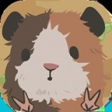 天竺鼠农场手游app 天竺鼠农场手游app