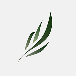 东南小说手机软件app 东南小说手机软件app