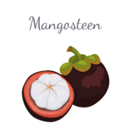 山竹社区2024最新版手机软件app 山竹社区2024最新版手机软件app