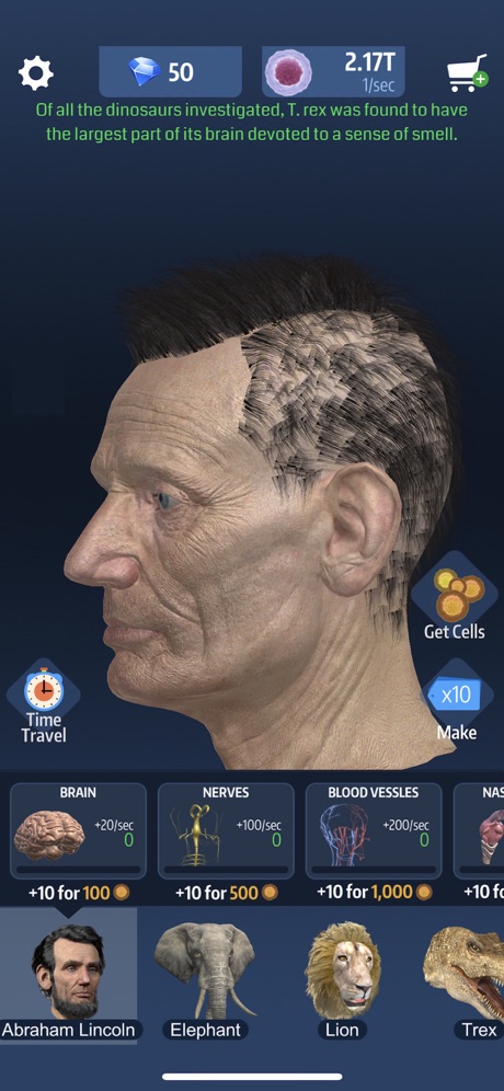 造颅法则截图 造颅法则截图