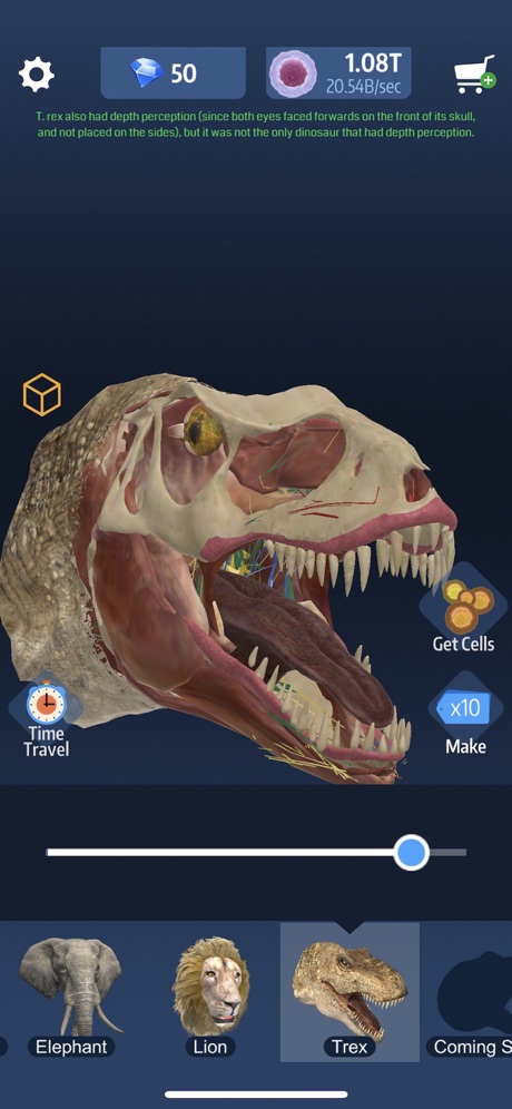 造颅法则截图 造颅法则截图