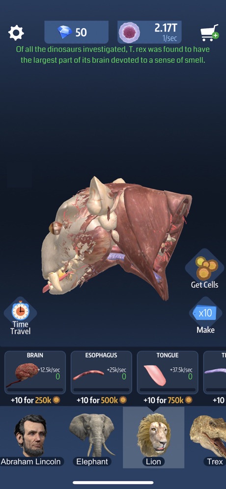 造颅法则截图 造颅法则截图