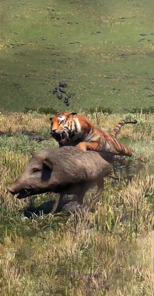 狂猎之王截图 狂猎之王截图