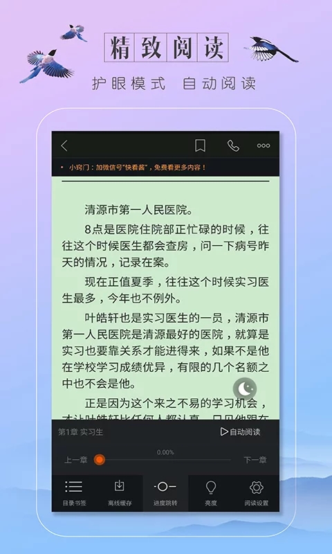 盛大小说截图
