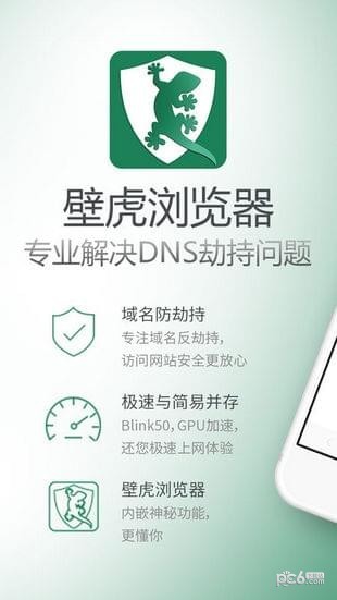 壁虎浏览器截图 壁虎浏览器截图