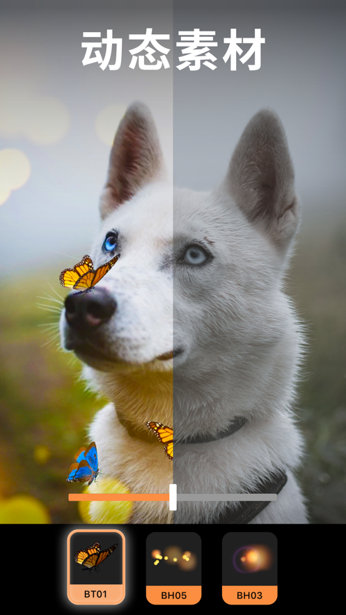 Pixaloop 和谐版截图 Pixaloop 和谐版截图