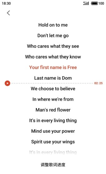 魅族音乐截图 魅族音乐截图