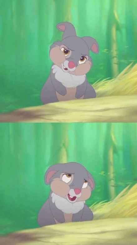 做个俗人爱和自由一生所求图片截图 做个俗人爱和自由一生所求图片截图