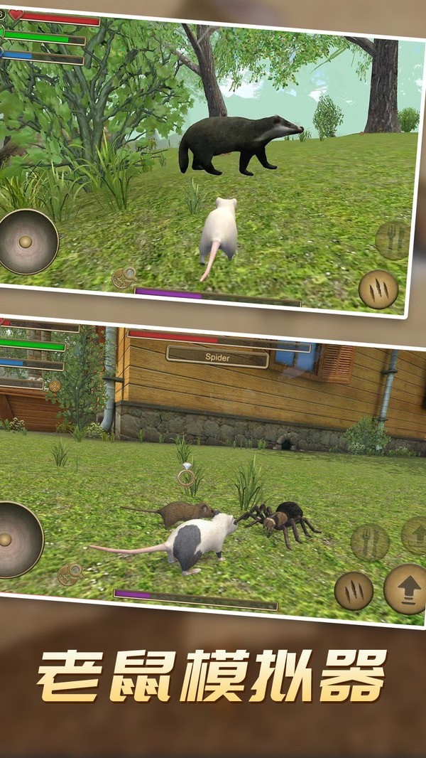 真实老鼠模拟截图 真实老鼠模拟截图