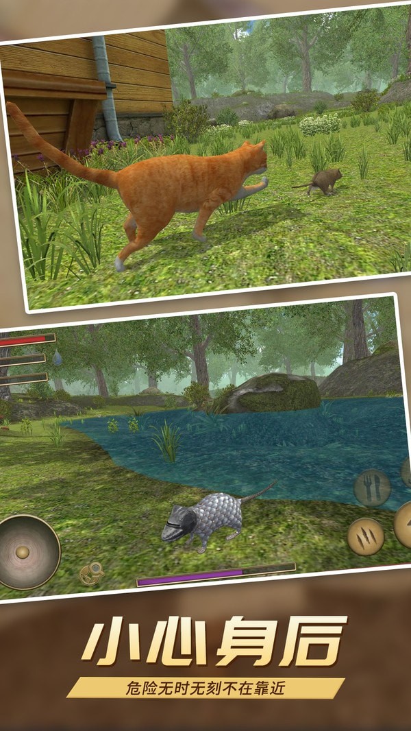 真实老鼠模拟截图 真实老鼠模拟截图