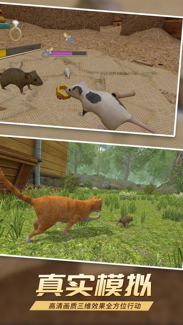 真实老鼠模拟截图 真实老鼠模拟截图