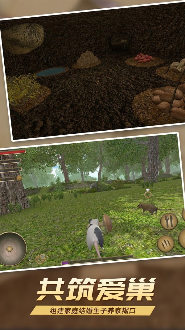 真实老鼠模拟截图 真实老鼠模拟截图