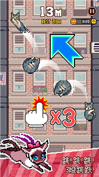 猫猫跳跃截图 猫猫跳跃截图