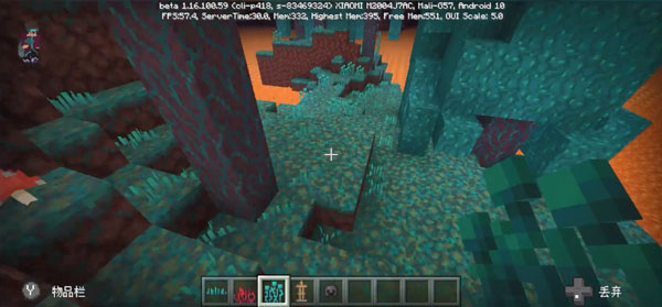 我的世界1.16.100.59截图