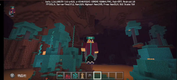 我的世界1.16.100.59截图