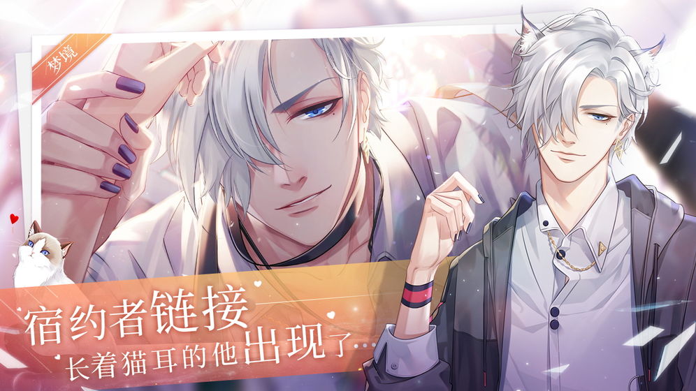 猫之宿约者截图 猫之宿约者截图