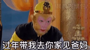过年带我去你家见你爸妈表情包截图