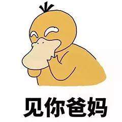 过年带我去你家见你爸妈表情包截图