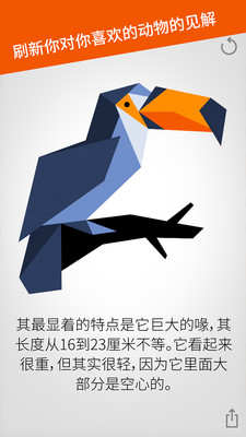 红雀之地截图 红雀之地截图