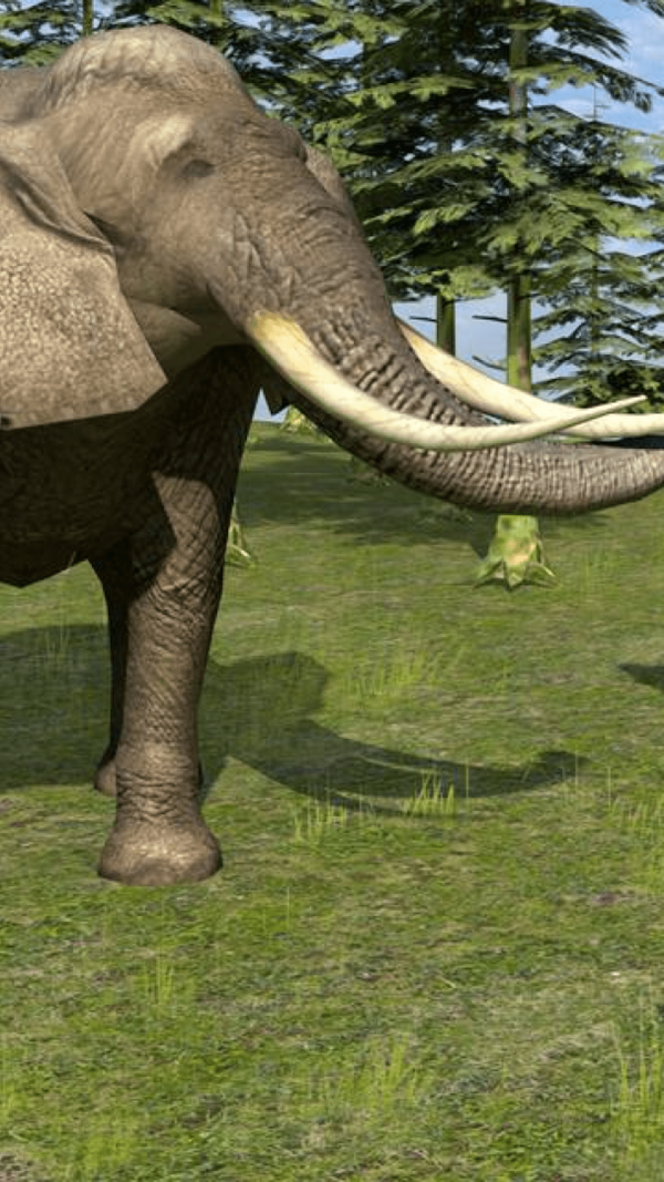 野生动物生活模拟截图 野生动物生活模拟截图