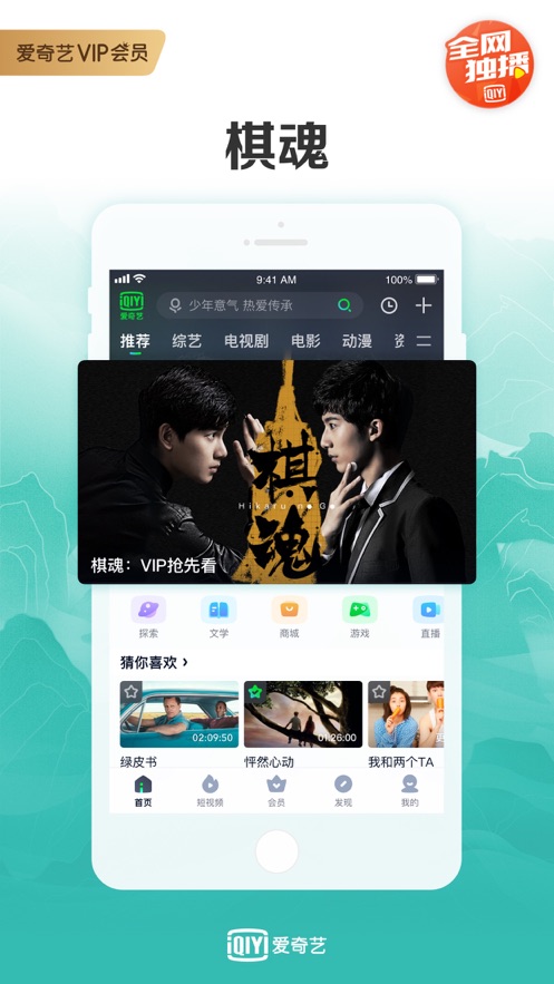 爱奇艺VIP视频解析器截图 爱奇艺VIP视频解析器截图