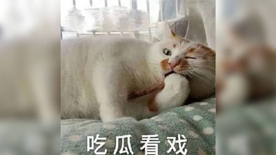 微博吃瓜表情包截图 微博吃瓜表情包截图